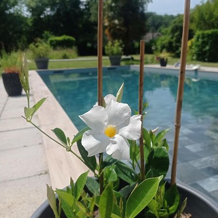 Le Clos De Cinacle Ogeu-les-Bains Екстер'єр фото