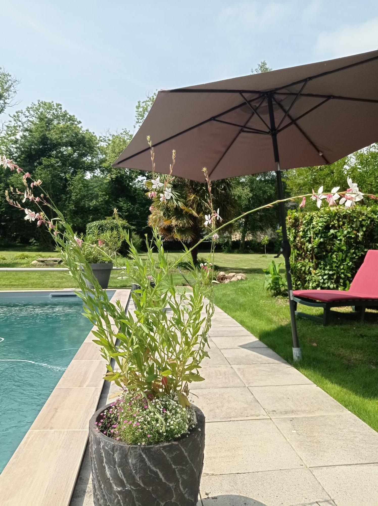 Le Clos De Cinacle Ogeu-les-Bains Екстер'єр фото