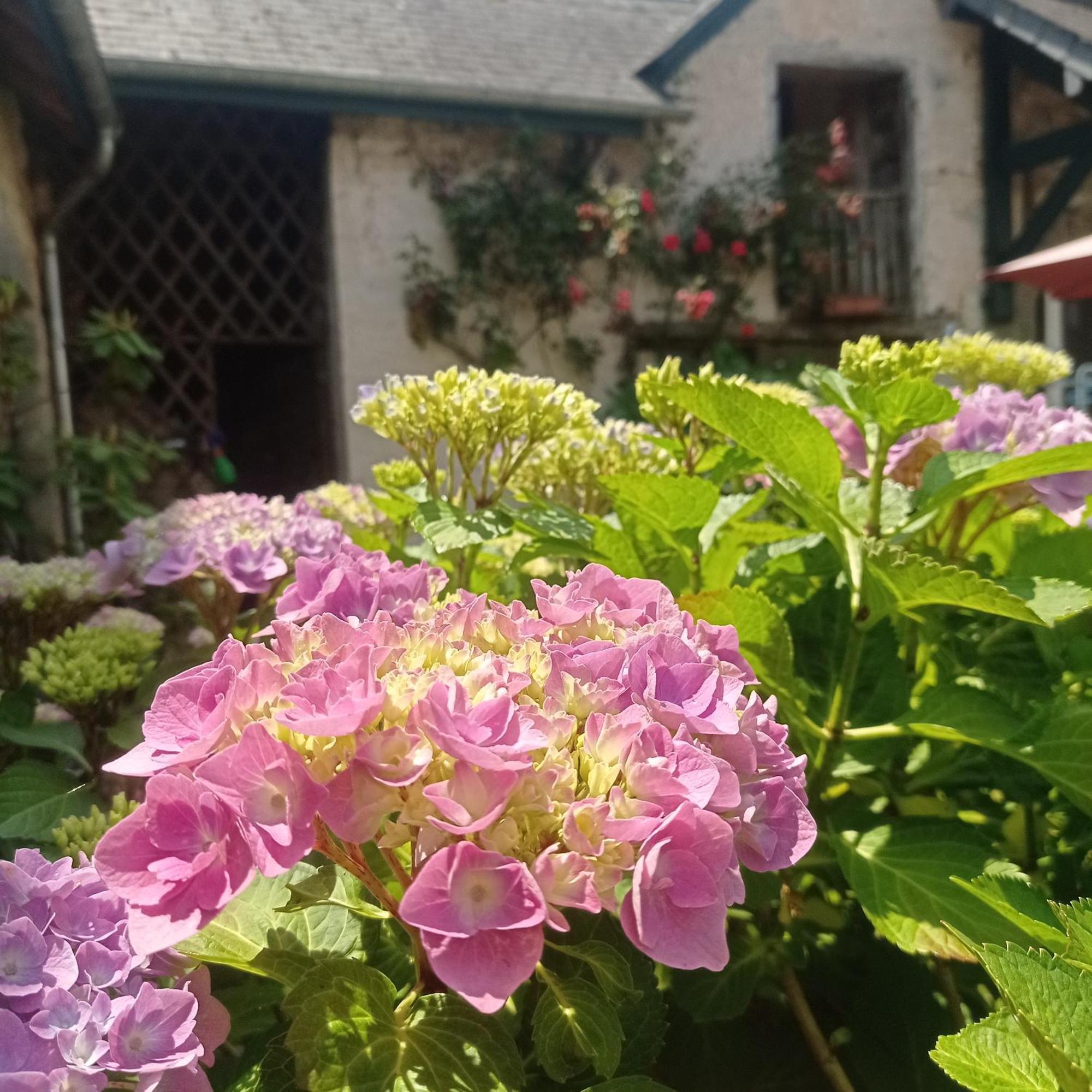 Le Clos De Cinacle Ogeu-les-Bains Екстер'єр фото
